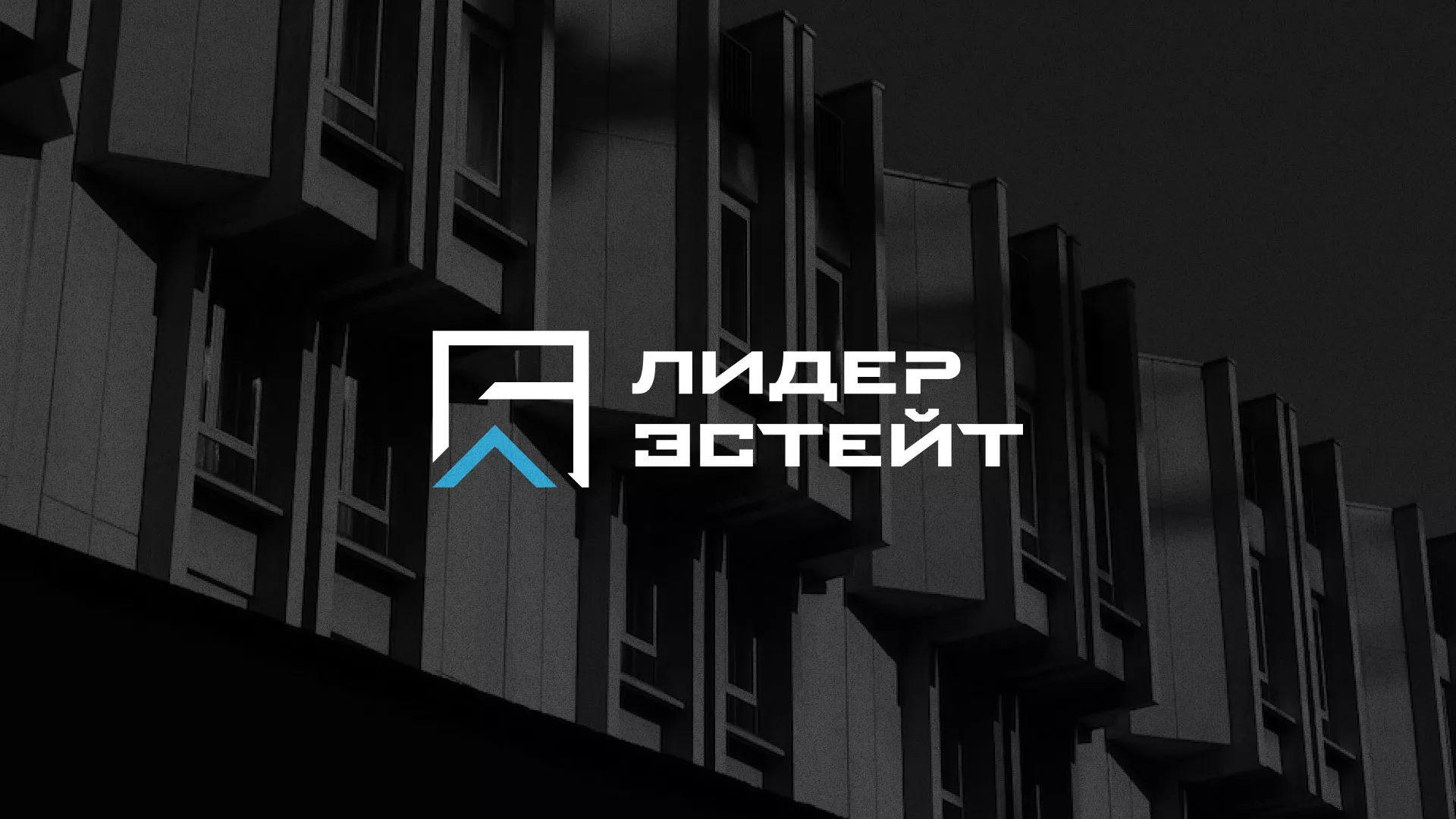 Разработка логотипа агентства недвижимости «Лидер Эстейт» в Катайске